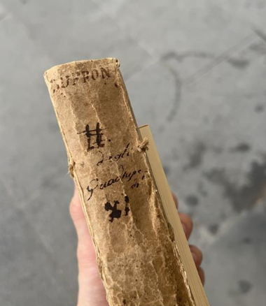 HOOK遊歐洲時，到書店買了一本老舊發臭的書籍。   圖：翻攝自HOOK IG
