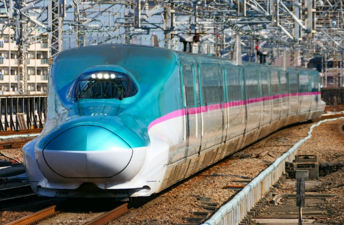 日本隼號列車。 圖 : 翻攝自維基百科 日本隼號列車。 圖 : 翻攝自維基百科