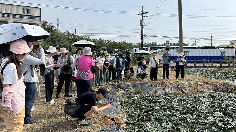 「山海探險隊」走進菱角田間，聆聽農民解說種植方式，近距離觀察菱角生態。   圖：高雄市青年局/提供
