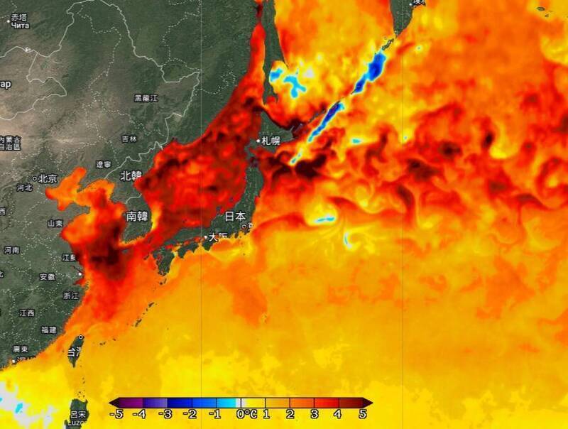 鄭明典指出，近期海溫升高原因應該和日本周邊海表面的顯著增溫有關。   