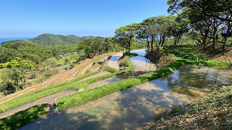貢寮區雞母嶺水梯田環境改善後獲得2025建築園冶獎肯定。   圖：農業部農村發展及水土保持署／提供