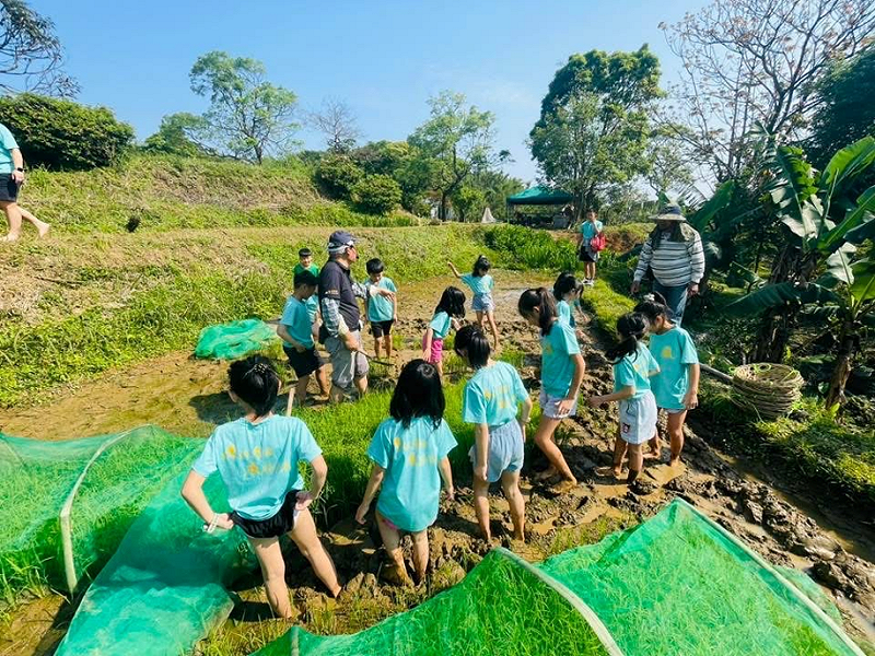 復育後水梯田重新發揮蓄水功能,以種稻認養等模式提供周邊各級學校做為食農教育體驗場域。 圖:農業部農村發展及水土保持署/提供