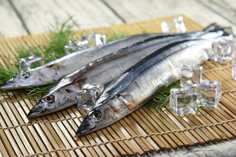 今年海溫升高，讓日本秋刀魚漁獲大豐收，是去年的兩倍，而且提前在九月登場。   圖：取自農業部食農教育資訊整合平台（資料照）