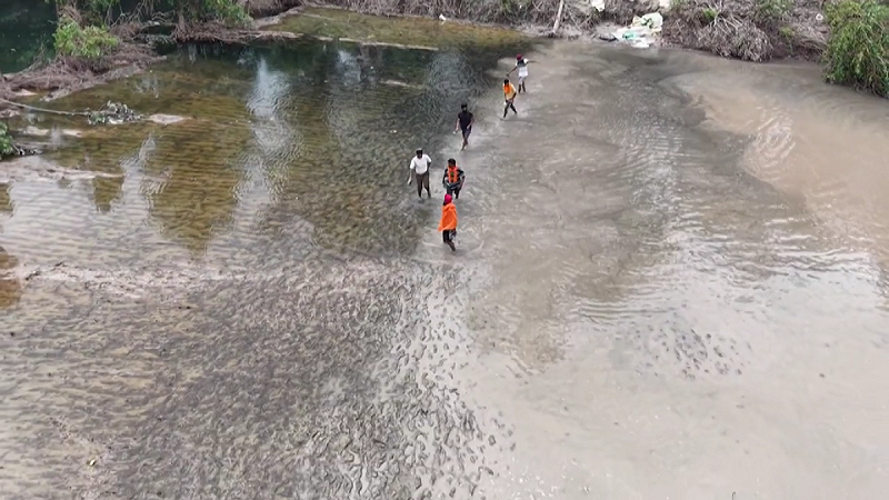 這片素有「印度國家糧倉」之稱的地區，大量農地被洪水淹沒，受災面積幾乎相當於倫敦與紐約市總和。   圖:翻攝自影片