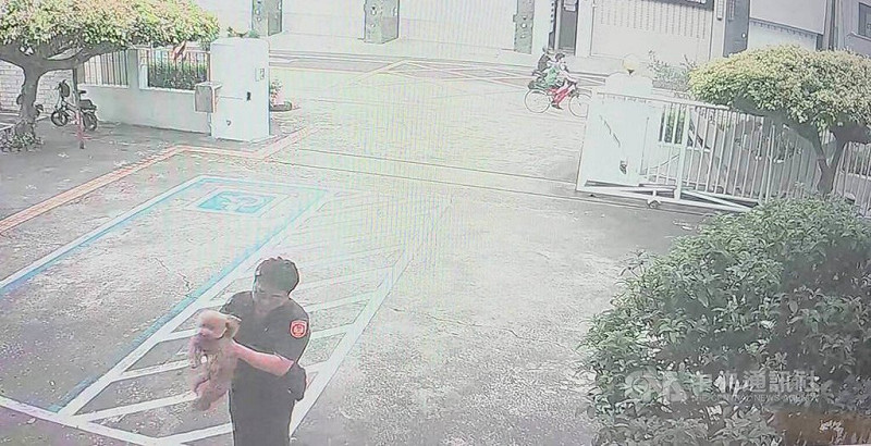 1隻紅色貴賓犬日前外出迷路，走進台中市政府警察局烏日分局溪南派出所廣場，由於當天下雨，員警發現就抱進所內，協助擦乾身上雨水安置。（翻攝照片）中央社記者蘇木春傳真　114年9月18日   