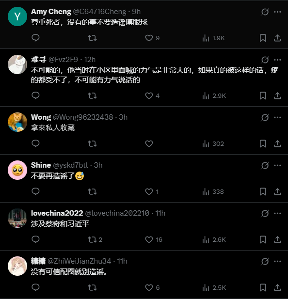  該貼文留言並非一面倒。圖：翻攝自 X《谢万军 Wanjun Xie》