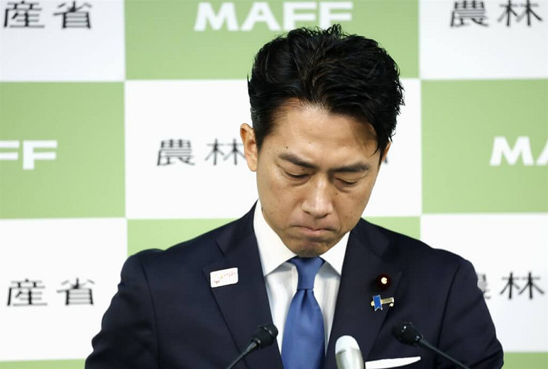 參選日本自民黨總裁的農林水產大臣小泉進次郎，26日針對他的陣營進行秘密行銷致歉。（共同社）   圖：中央社提供