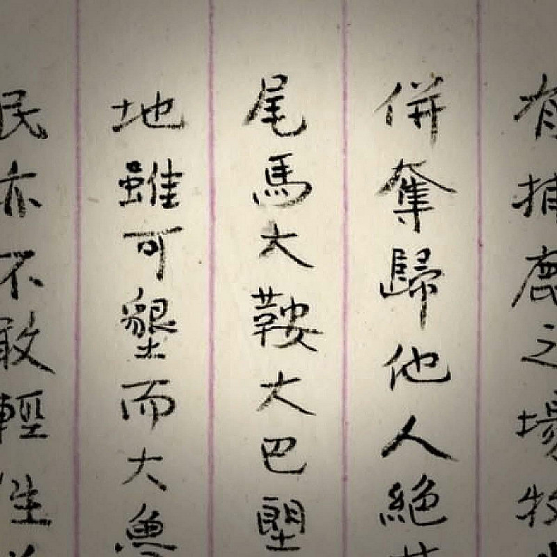 至19世紀晚期，逐漸演變為「馬大鞍」或「馬太鞍」。1945年後一度被稱為「台安」，隨著光復鄉行政區設立，才有今日的「光復」之名。 圖：故宮博物院 提供 