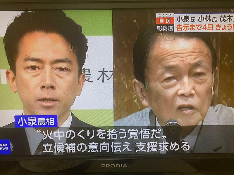  小泉背後有前總理們的支持，麻生太郎九月三日積極趕石破下台，這次沒有特定支持高市。 圖：攝自NHK 