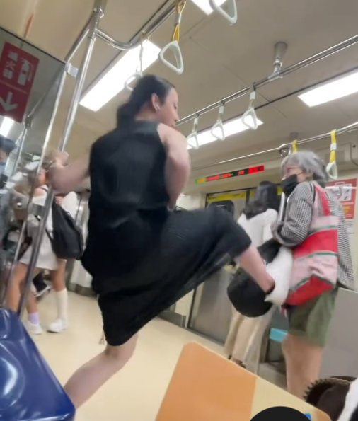 北捷婆婆博愛座衝突掀熱議，洪廣冀與胡川安指出，她長年出沒學術研討會，身影特殊引發討論。   圖：翻攝自Threads