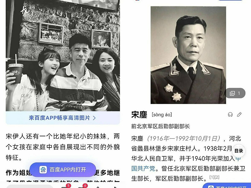  網友質疑宋伊人是否為高官子女。圖：翻攝自 X《新闻调查》