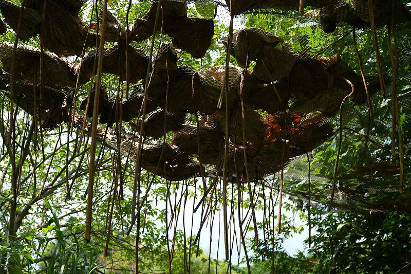 新世代青年創作團隊林暐翔作品「在水底仰望天光」。   圖：新北市政府／提供