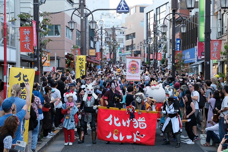 日本貓妖祭遊行。   圖：化け猫フェスティバル/提供