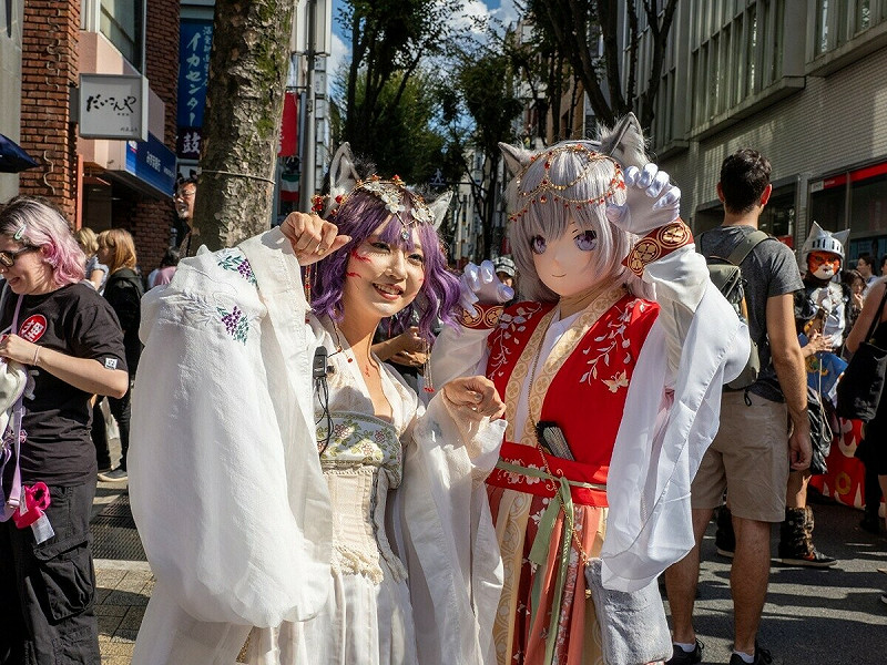 貓妖祭一景。   圖：化け猫フェスティバル/提供