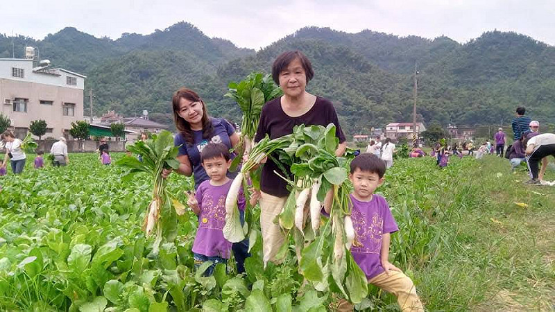 白玉蘿蔔盛產期即將到來，拔蘿蔔成田園最常見景象。   圖：美濃客家庄教學農場/提供
