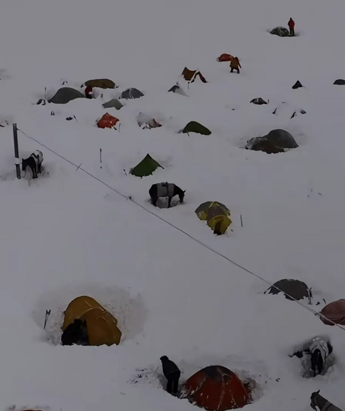  大量帳篷被暴雪掩埋。圖：翻攝自騰訊網《藍鯨新聞》