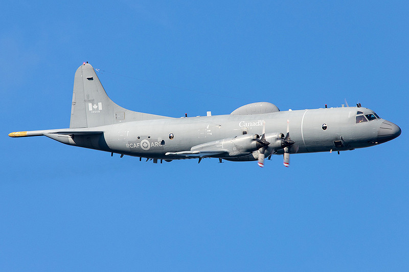 CP-140「極光」沿用了 1962 年服役的 P-3「獵戶座」偵察機的機身，可說是一款相當老的型號。   圖：翻攝自財經頭條