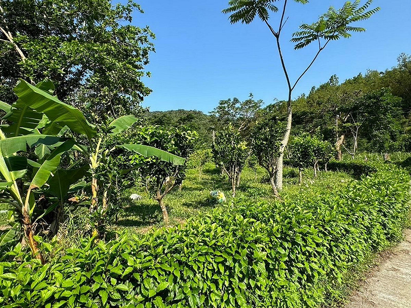 位於屏東縣牡丹鄉的高士部落是國內少數保有傳統「家庭農園」耕作文化的社區。   圖:林業試驗所/提供