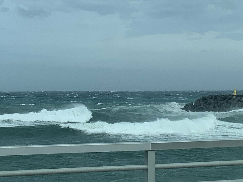 中颱哈隆目前正在日本東南方海域活動，日本氣象廳緊急針對伊豆群島發布強風、大浪特別警報，呼籲民眾關注颱風可能帶來的威脅。   圖：翻攝自 @yojibay X 帳號