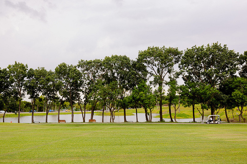 果嶺公園綠地不只可休憩,也成為一座「會說故事」的自然教室。 圖:高雄市政府/提供