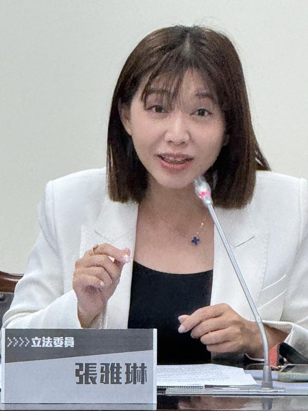 民進黨立委張雅琳。 圖:辜寬敏基金會/提供