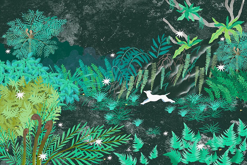 夏仙，2019波隆那臺灣館邀請展出 、2021線上臺灣繪本插畫展。圖/文化部提供&nbsp;&nbsp;&nbsp;