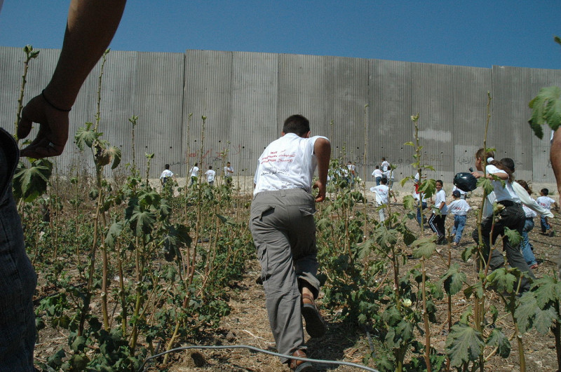 巴勒斯坦學童在以色列所興建的隔離牆外遊戲。圖：翻攝自維基百科   