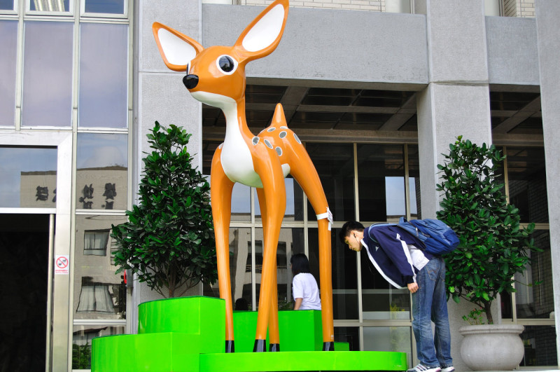 行政大樓前的行動小鹿，引起學生好奇探看。圖片來源:政大提供   