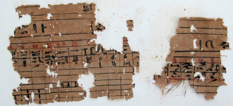 埃及發現古夫王時代莎草紙40卷。圖片來源：達志影像/美聯社。   