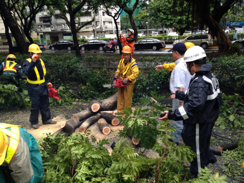 中颱麥德姆襲台，台北市長郝龍斌在今(23)日上午前往大安區視察環保局和工務局公園處清理傾倒路樹。郝龍斌表示，已要求所有同仁在颱風過去以後，盡快讓市容恢復，原則上應該今天之內可以把整個台北市的市容恢復。　圖：劉奕霆/攝   