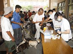 為防範狂犬病疫情擴大，高雄市29日在11個臨山和海線的行政區同步提供免費狂犬病疫苗注射，不少民眾帶寵物排隊注射。圖片來源：中央社。   