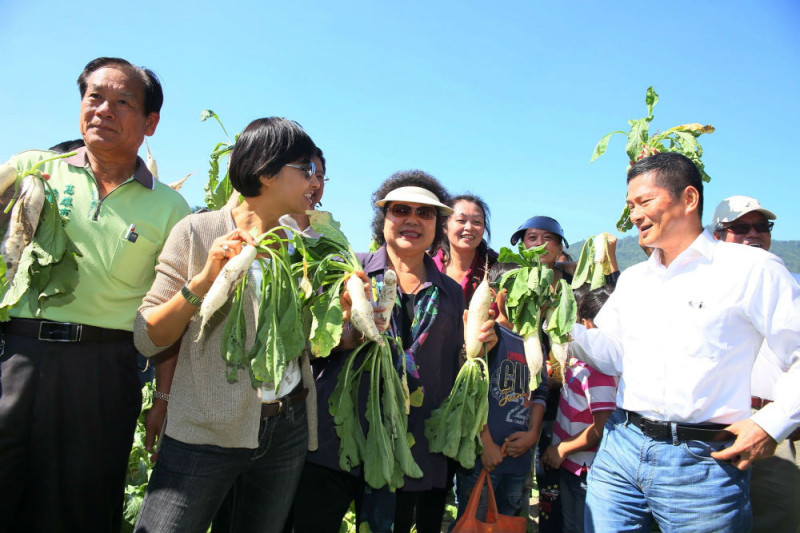 美濃白玉蘿蔔季登場，高雄市長陳菊也下田拔蘿蔔。圖：高雄市政府提供。   