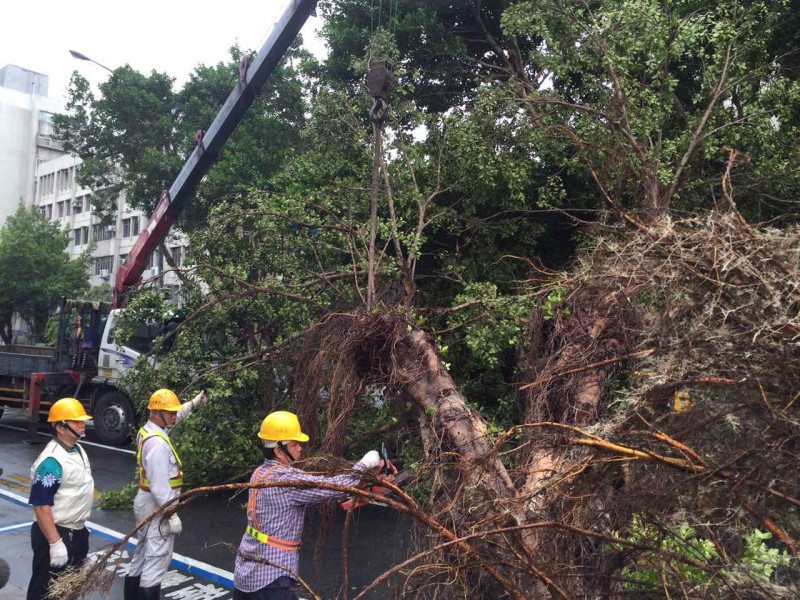 此次蘇迪勒颱風過境，造成全台各地災情不斷，台北市則是創下有史以來樹倒災情最嚴重的一次，而負責清理的主責單位、台北市工務局公園處也因為樹倒情況嚴重，不分日夜的全力搶修市內主要幹道。圖：新頭殼資料照片   