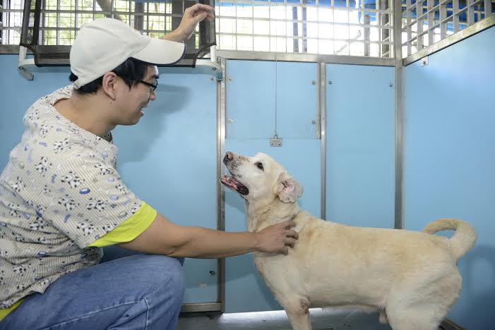 據台北市動物保護處今（26）日表示，自從紀錄片「十二夜」上映後，民眾關懷流浪動物收容議題發酵，犬貓認養率數高達75%。圖：台北市動物保護處提供   