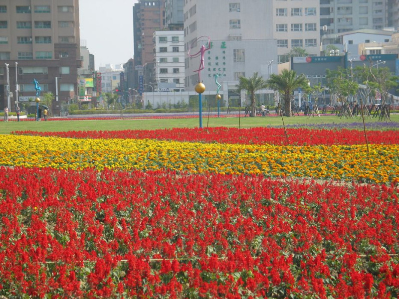 高雄市政府在農十六種植花田，希望推廣到各區。圖片來源：胡宏志/攝   