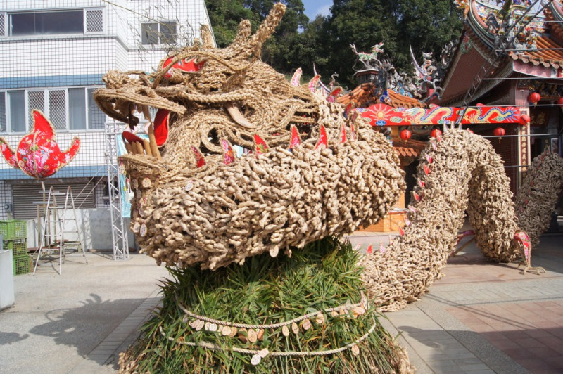 苗栗大湖薑麻節的主辦單位特別將5千台斤的生薑，打造成長15米、高4米的吉祥物「幸福龍」。圖片來源：客委會提供   