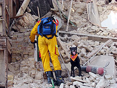 台灣搜救隊員帶搜救犬，在海地首都太子港市被震垮的政府辦公大樓尋找生還者。圖片來源：中央社   