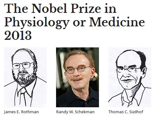 今年得獎者是3位科學家，分別是（由左至右）來自耶魯大學的詹姆斯．羅斯曼、來自柏克萊大學的蘭迪．謝克曼，以及來自史丹佛大學的托馬斯．聚德霍夫等圖：翻攝自諾貝爾獎官網   