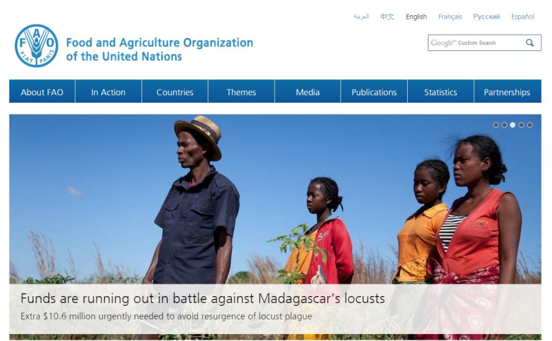 聯合國糧農組織(FAO)總幹事達席爾瓦26日在建設和平委員會指出，死於飢餓的人比戰爭多。圖片來源：聯合國糧農組織官方網站。   