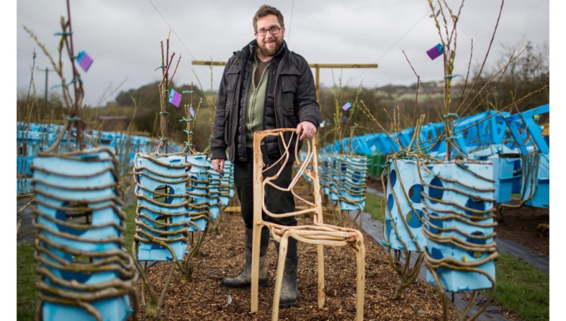 英國設計師Gavin Munro花了10年栽培，成功「種」出椅子、燈罩等家具。圖：翻攝網路   