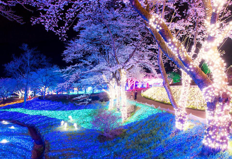 日本神奈川縣的「相模湖燈祭」令人目炫神迷。圖：翻攝日本觀光廳網站   