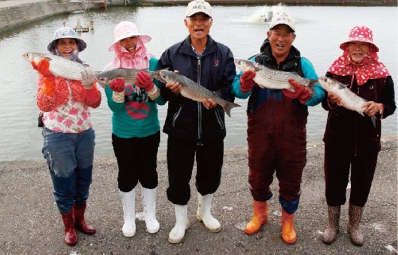 雲林縣濱海地區主要以養殖漁業為最大輸出主力，其中烏魚的產量，更是臺灣養殖之冠。圖片來源：行政院農委會漁業署漁業休閒樂活主題網。   