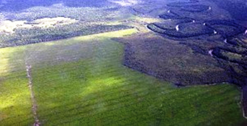巴拉圭是台灣目前在中南美洲的12個邦交國之一。根據美國農業部世界糧食市場研究報告指出，巴拉圭預估明(2014)年稻米出口貿易量列居世界第14位。圖為巴拉圭北方的稻田。圖片來源：美國地質調查局(United States Geological Survey，USGS)。   