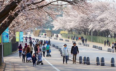 韓國政府希望打造清廉形象，維持社會和諧秩序。圖：翻攝韓國觀光公社網站   