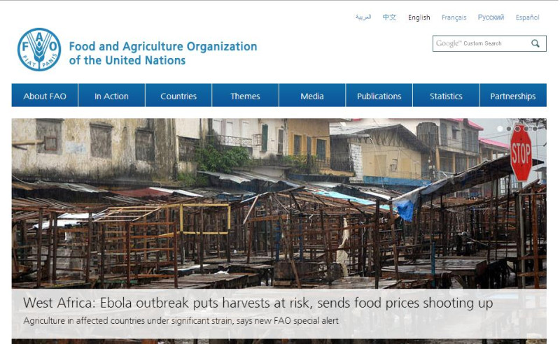 糧農組織表示，在西非伊波拉病毒蔓延的3個國家發生搶購、糧食短缺和部分食品價格飆升的現象。圖片來源：聯合國糧農組織官方網站。   
