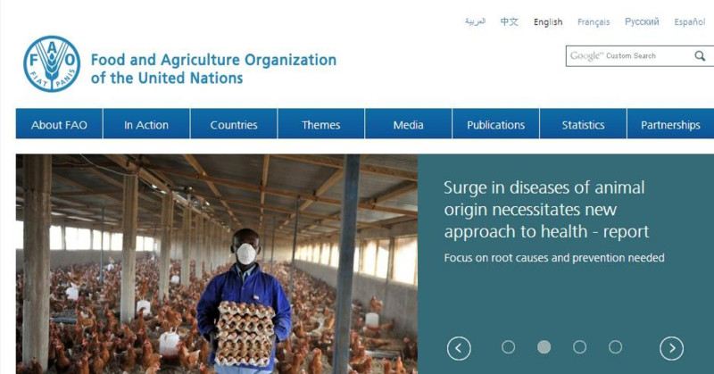 聯合國糧農組織16日指出，動物源病原體引發人類流行病的風險，應該成為各國關注的焦點。圖片來源：聯合國糧農組織官方網站。   