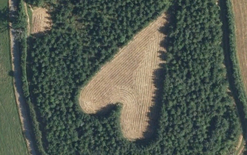英國痴情老人為亡妻打造一顆6英畝的心。圖片來源：Google Earth。   