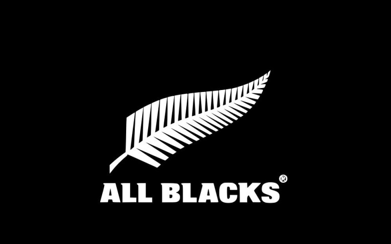 紐西蘭總理凱伊透露，他個人屬意的新國旗樣式是黑底配上國花銀蕨，類似紐西蘭橄欖球國家隊「全黑隊」（All Blacks）的隊旗。圖：翻攝自維基百科   