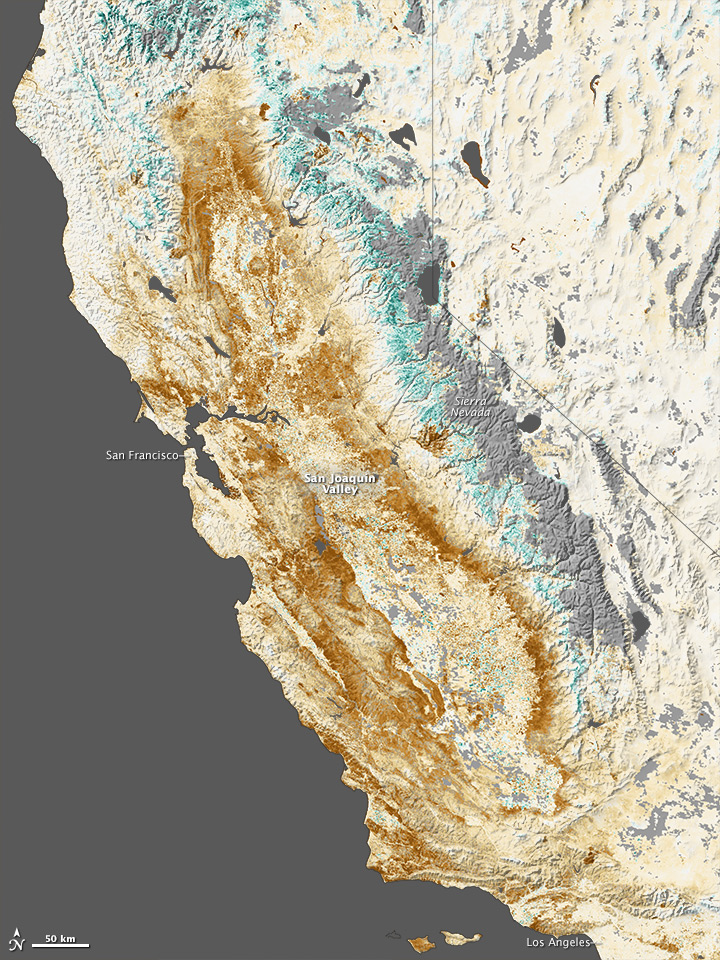 美國航太暨太空總署拍攝加州乾旱的衛星圖，情形相當嚴重，也造成超抽地下水導致地層下陷問題。圖：翻攝NASA官網   