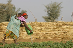 最能有效促進地方經濟和社會發展的國際投資模式是鼓勵當地農民發揮積極作用，並使他們享有對自己土地的控制權。圖片來源：聯合國糧食與農業組織(FAO)官方網站   
